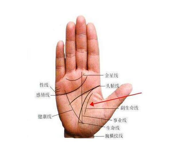 算命手相免费_算命在线手相分析_在线手相算命