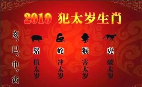 2023属相运势大解析_2023年属相运势详解_2023年运程十二生肖运程属