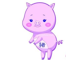 配对属相猪属羊好吗_属猪和什么属相最配对_配对属相猪属相是什么
