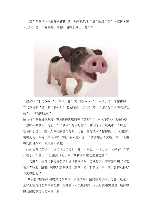 猴宝宝起名禁忌_猴取名禁忌_猴宝宝取名禁用字