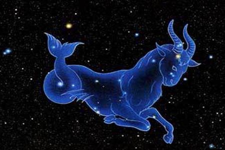魔蝎座的配对星座_魔蝎座速配星座配对_魔蝎速配星座