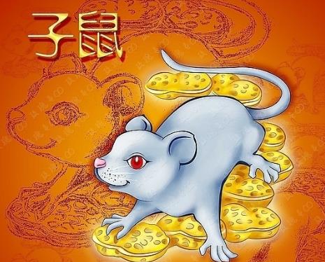属鼠人在2024年的运势_72年属鼠2024年运程_生肖鼠2024年运势