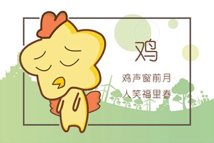 属于鸡今年运势_属相鸡今年运势_属相鸡今年的运势