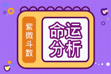 紫薇命盘在线排盘算命下载_紫薇命盘免费算命软件下载_算命免费紫薇