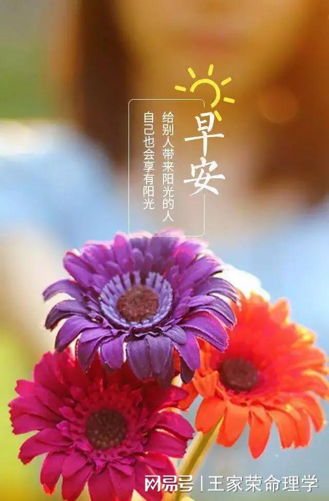 美国神婆网今日运程_美国神婆网今日运势_美国神婆婆今日运程