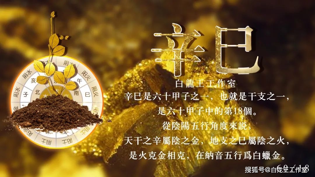 属龙人2024年每月运势_属龙人在2024年运势_属龙2024年生肖运势大全
