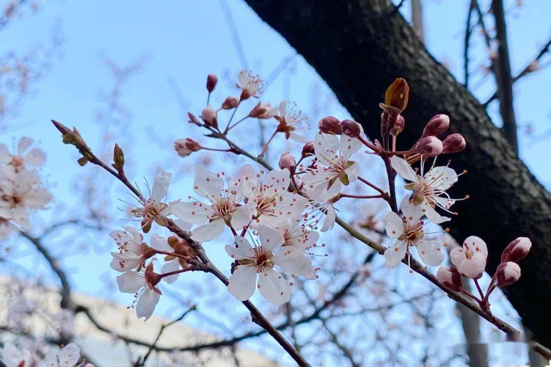 宝宝起名全书王思什么_起名思_起名字王思