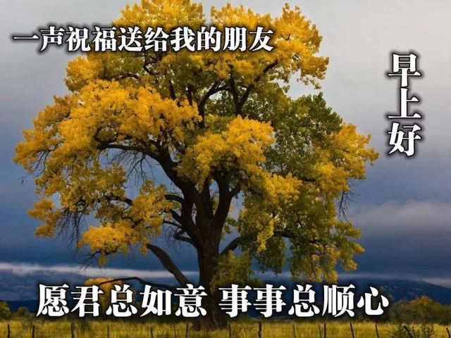 梦见死去的亲人正在吃饭_死去亲人吃饭梦见什么意思_梦见与死去的亲人吃饭