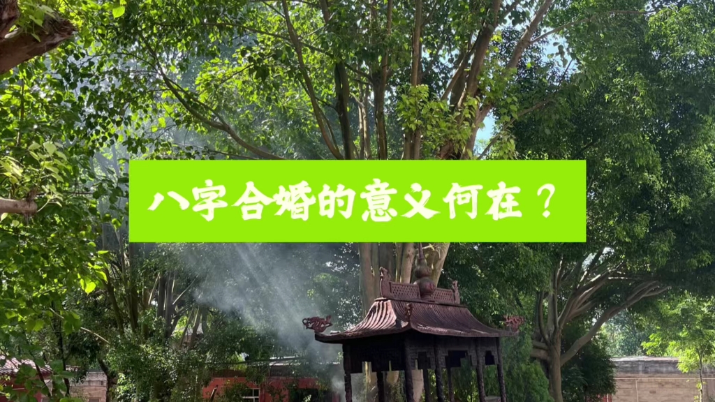 八字合婚软件免费下载_八字合婚软件合集_八字合婚app
