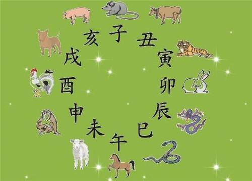 八字合婚app_八字合婚软件合集_八字合婚软件免费下载