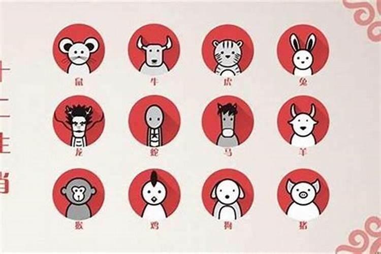 生肖和出生日期婚配_属相婚配出生年月_生肖配对是出生时辰还是年头