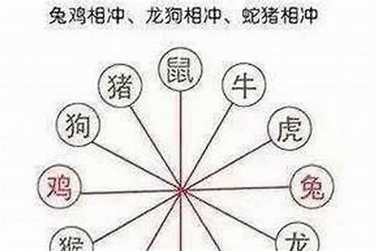 属鼠人2024年的命运_属鼠2024年运势及运程1984年出生_生肖鼠2024年运势