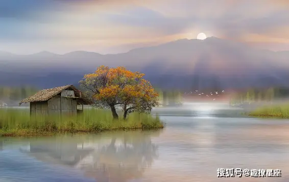 运程预测表_2024运程预测_十年运程预测