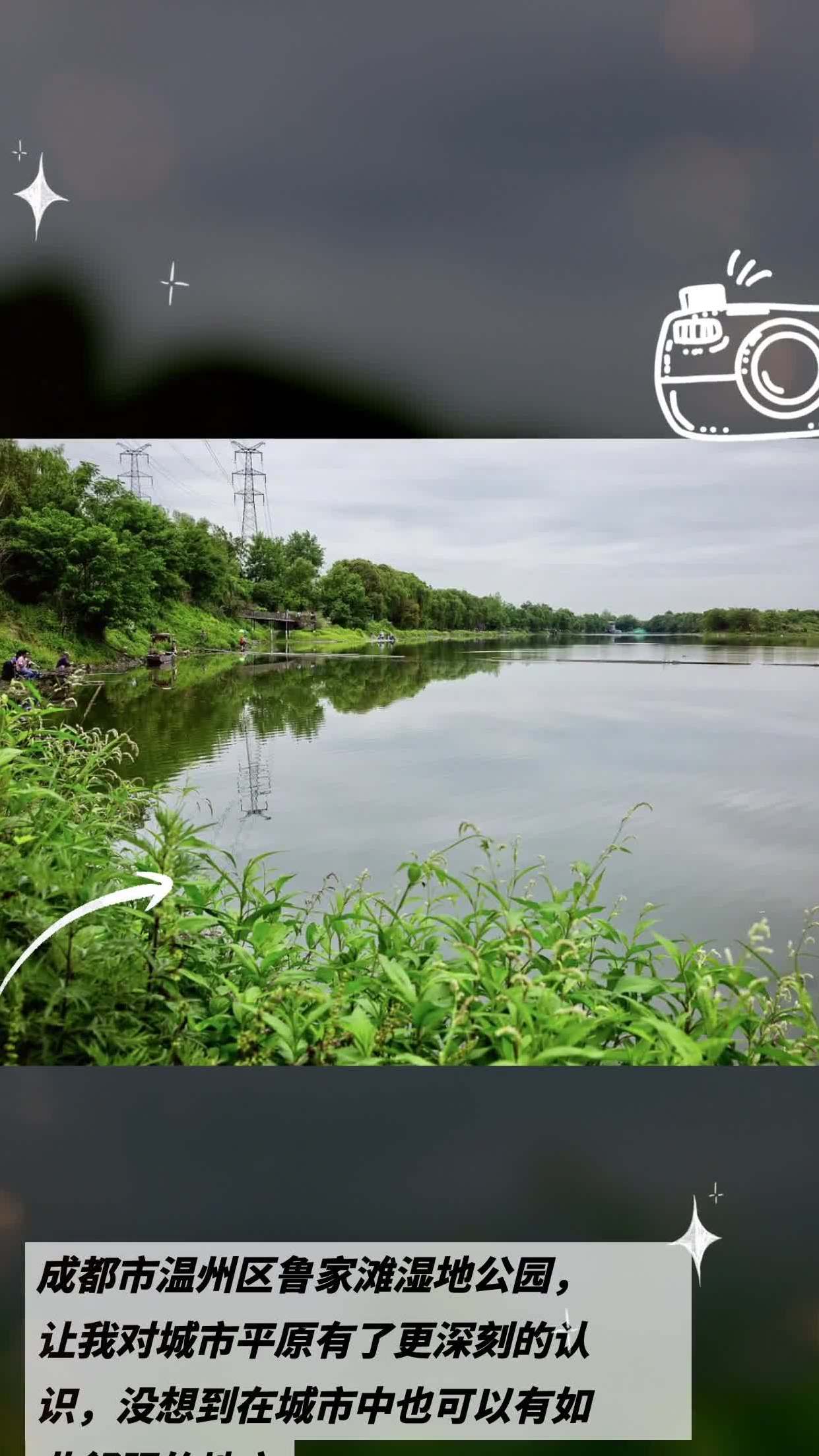 梦见下雨积水_下雨积水梦见好多鱼_下雨积水梦见鱼