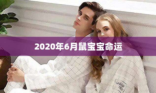运势2024年运势_2024年属相运势_属相运势2024年生肖运程