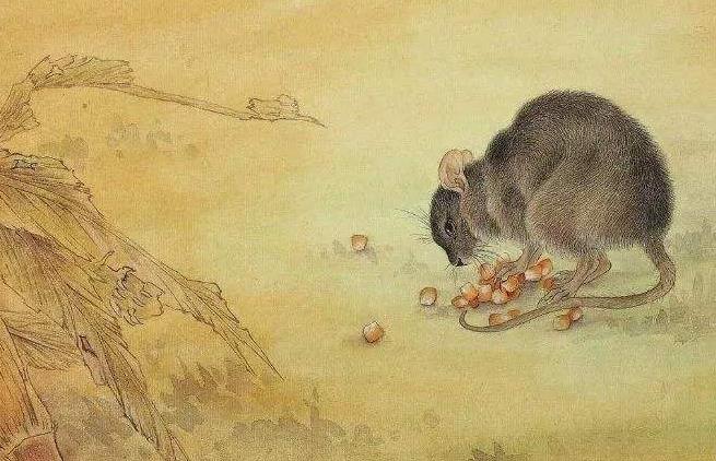 紫微算命:预测生肖鼠明年运势 紫微算命:预测生肖鼠明年运势