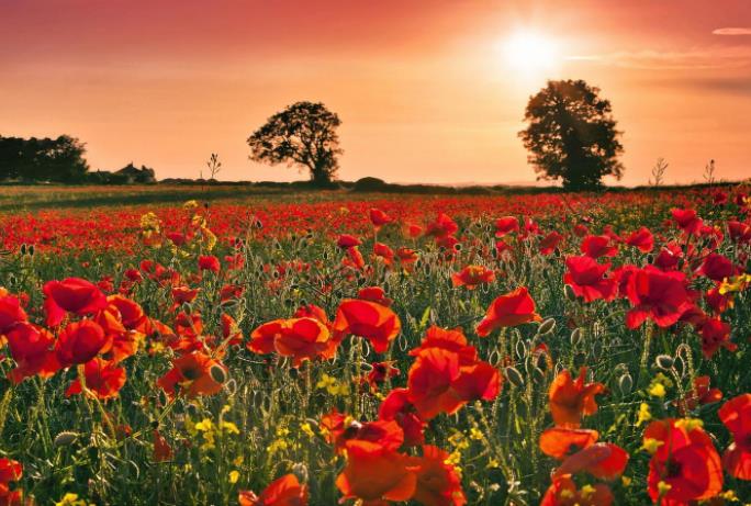 比肩格女命好不好 比肩格女命好不好