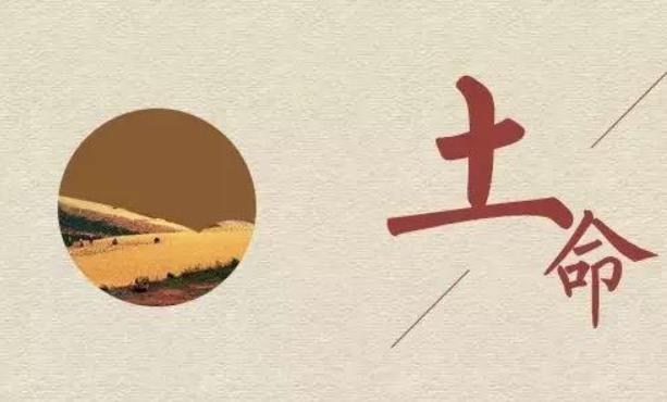 土命是什么意思 土命的人好不好 土命是什么意思 土命的人好不好